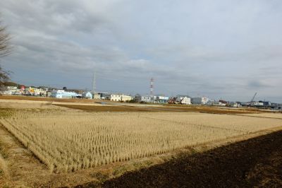 稲荷神社（川向）裏から
