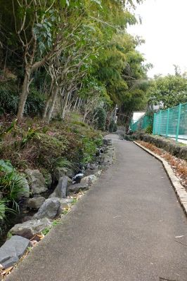 浄念寺川せせらぎ緑道
