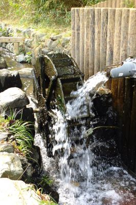 浄念寺川せせらぎ緑道

