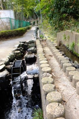 浄念寺川せせらぎ緑道
