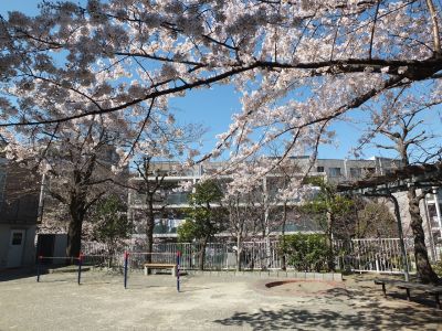 メゾン桜ヶ丘（染井吉野）
