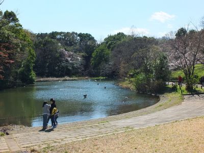 鴨池公園
