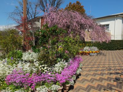えだきん商店街
