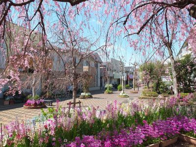 えだきん商店街
