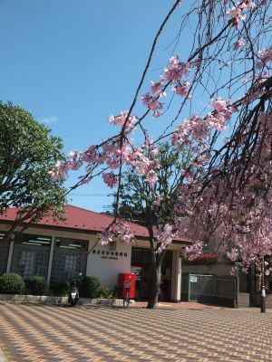 えだきん商店街
