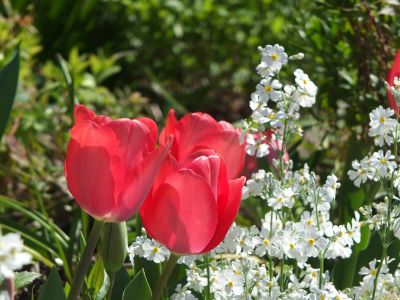 えだきん商店街
