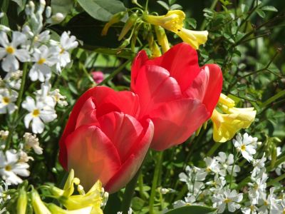 えだきん商店街
