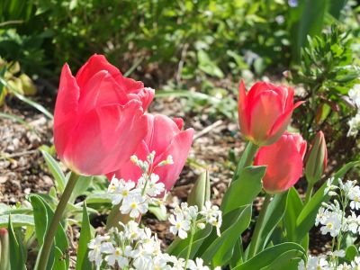 えだきん商店街
