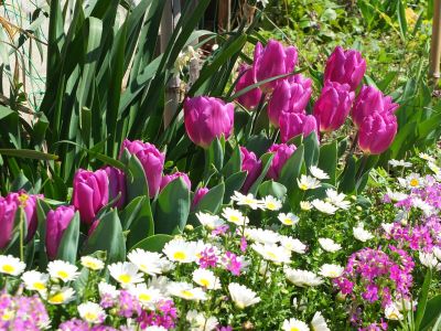 えだきん商店街
