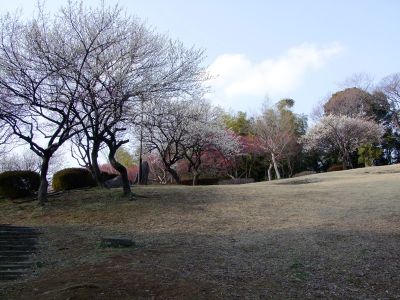 折田不動公園
