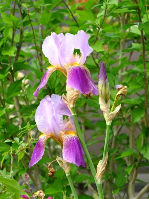 荏田近隣センター
