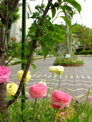 荏田近隣センター
