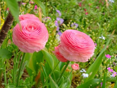 荏田近隣センター
