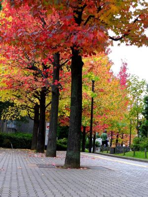 都筑ふれあいの丘（Aoki横）
