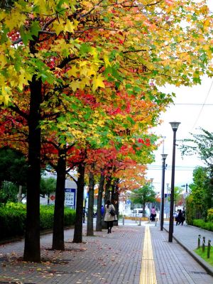 都筑ふれあいの丘（Aoki横）
