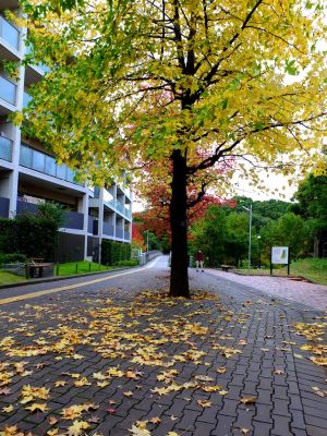 都筑ふれあいの丘（Aoki横）
