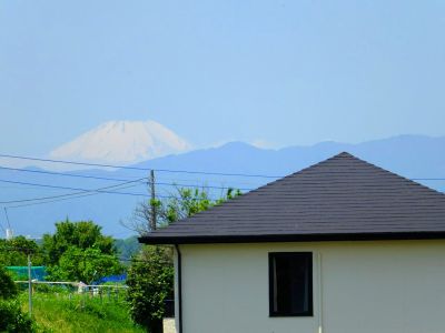 佐江戸のつつじ庭園（牧野さん）
