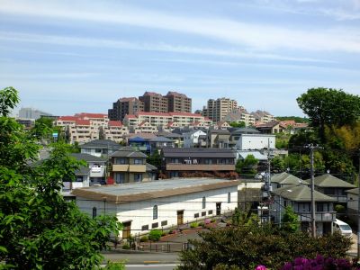 佐江戸のつつじ庭園（牧野さん）
