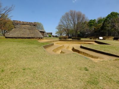 大塚・歳勝土遺跡公園

