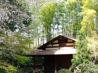 大塚・歳勝土遺跡公園（旧長沢家住宅茶室）

