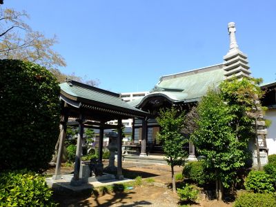 慈眼寺（枝垂れ桜）
