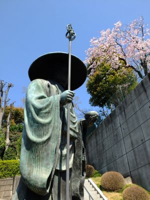 慈眼寺（枝垂れ桜）
