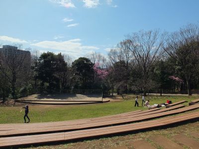 都筑中央公園（横浜緋桜）
