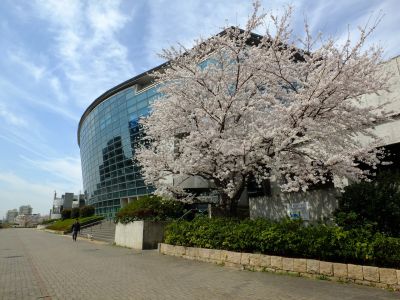 横浜国際プール
