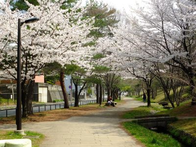 ふじやとのみち
