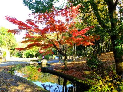 ささぶねの道（渋沢橋）
