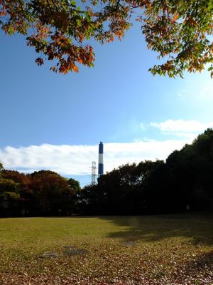 葛ヶ谷公園
