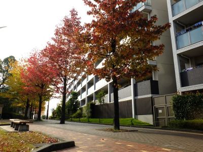 都筑ふれあいの丘
