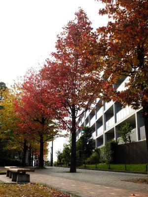 都筑ふれあいの丘
