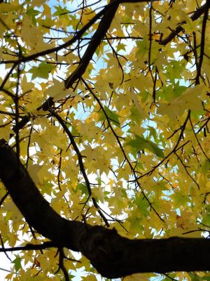 都筑ふれあいの丘
