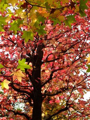 都筑ふれあいの丘
