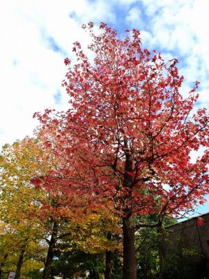 都筑ふれあいの丘
