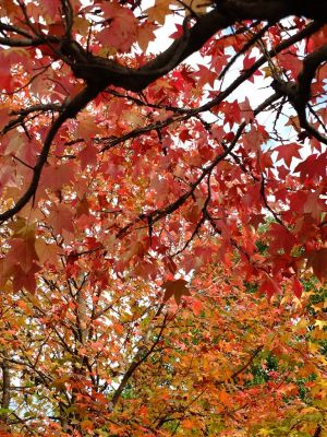 都筑ふれあいの丘
