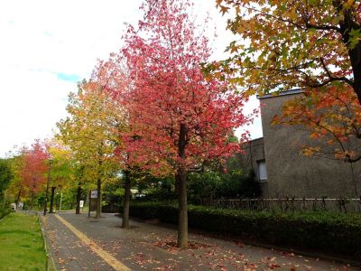 都筑ふれあいの丘
