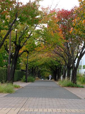 都筑ふれあいの丘
