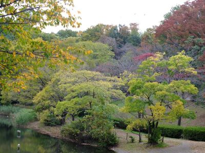 鴨池公園

