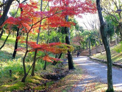 ささぶねの道（御影橋）
