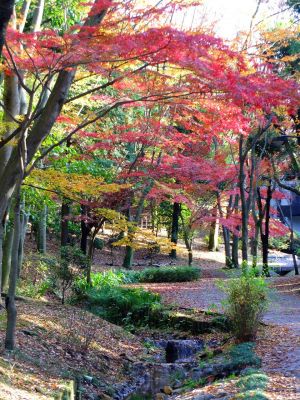 ささぶねの道（御影橋）
