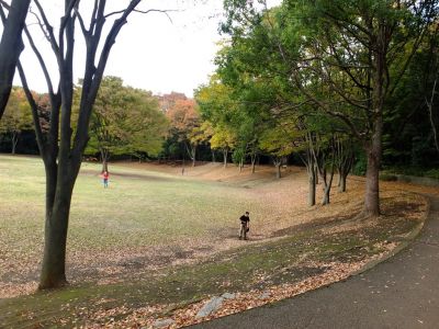 鴨池公園
