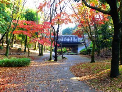 ささぶねの道（御影橋）
