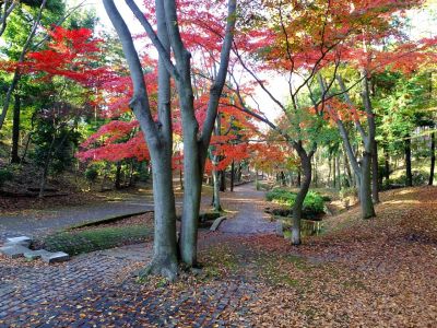 ささぶねの道（御影橋）
