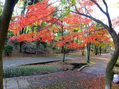 ささぶねの道（御影橋）
