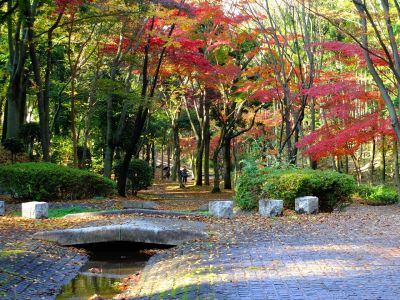 ささぶねの道（御影橋）
