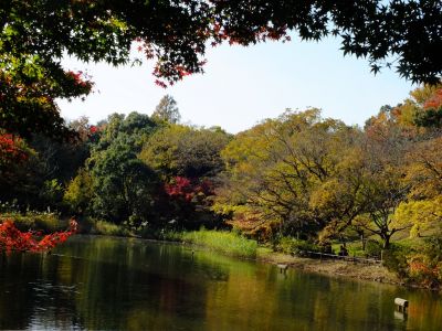 鴨池公園
