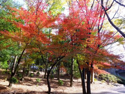 ささぶねの道（御影橋）
