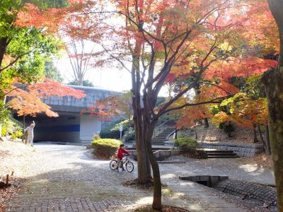 ささぶねの道（御影橋）
